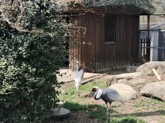 -上方山森林动物世界