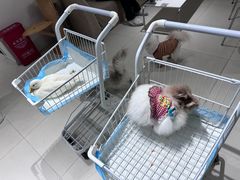 -怪兽屋·羊驼·猫咖·狗咖(俊华广场店)