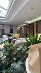 -四川米兰柏羽医学美容医院