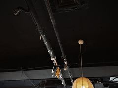 大堂-Cappucimeow猫咪咖啡馆(韦伯时代店)