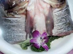 -普天和酒楼·新津菜·烤鸭(天津之眼店)