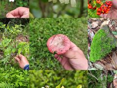 -昆明市金殿名胜区