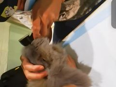 -雨林宠物医院 非犬猫异宠专科