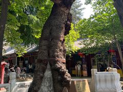 -潭柘寺景区