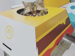 -麦当劳(双榆树店)