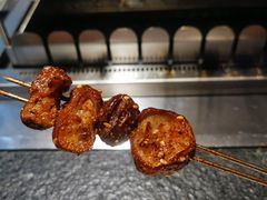 烤肥肠-邢氏老太太烧烤(罗湖店)