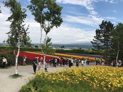 -富田农场