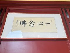 -庐山风景名胜区-东林大佛