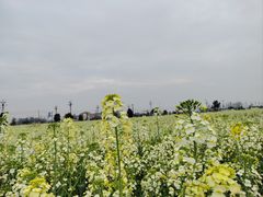 -中国天府农业博览园