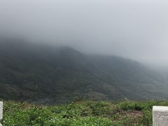 -广州市流溪河国家森林公园