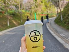 -火炉山森林公园