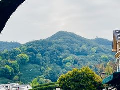 -龙井村