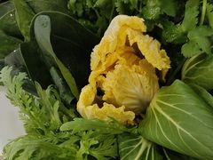 -草原传奇鲜羊火锅(桥北店)