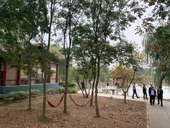-南京市溧水区傅家边梅花山弄山庄