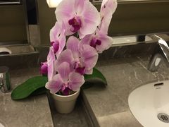 -松咖啡自助餐厅·松北香格里拉