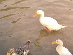 -木塔寺遗址生态公园