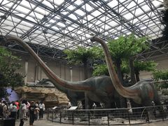 -国家自然博物馆