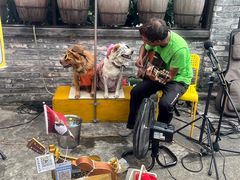 -三溪村