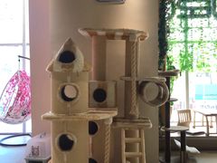 -藏猫猫咖啡主题馆(中央大道店)