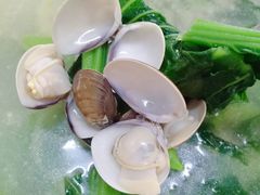 车螺芥菜汤-万尾农贸市场