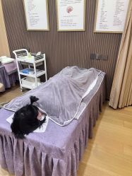 -北京嘉禾国际母婴产后康复中心(南苑中心店)