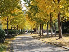 -浙江农林大学(东湖校区)