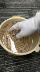 -邵老师打金·黄金加工(大望路总店)