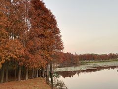 -厦门园林博览苑