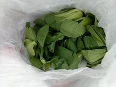 -光明食品集团有限公司