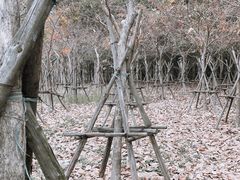 -露天矿生态公园