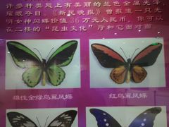 -上海昆虫博物馆