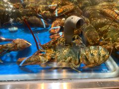-盒马X会员店(王府井奥莱UP TOWN店)