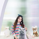 上海猫咖探店 | 撸猫的一天也太快乐了🐱