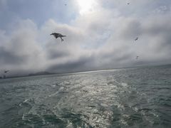 -海驴岛(荣成市)