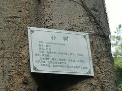 -柳侯公园