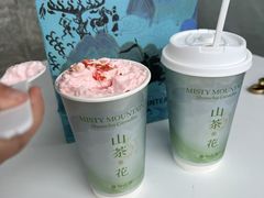 -雾与山茶(大禹城店)