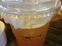 -一树一叶·福建茶档(石鼓路店)