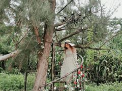 -那琴半岛地质海洋公园