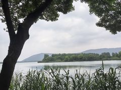 -尚湖风景区