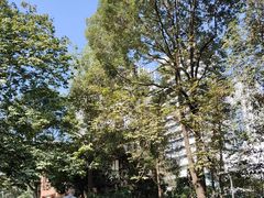 -成都市活水公园