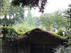 -成都市活水公园
