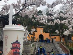 -鸡鸣赐茶(鸡鸣寺路店)