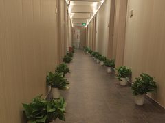 -青曼SPA·按摩·采耳·足道(龙之梦店)