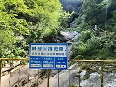 -青峰峡国家森林公园