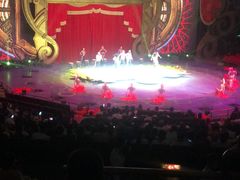 -珠海横琴长隆《卡卡虎奇遇记》