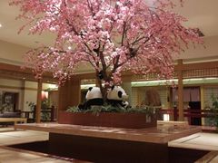 -大江户·温泉洗浴(浑南店)