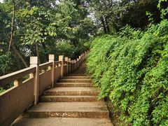 -杭州半山国家森林公园