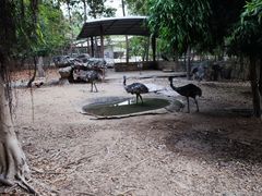 -清迈夜间动物园