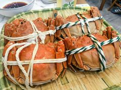 -蟹天蟹地农家菜·阳澄湖大闸蟹(浅水湾店)