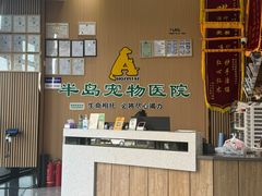 -半岛宠物医院24小时·内窥镜·牙科·碎石中心(府城大道店)